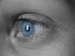 N538290284_1052_medium
