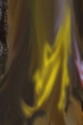 N542407666_458_medium