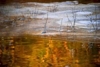 N679947879_6144_medium