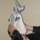 Bradley Furnish