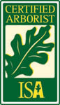 Medium