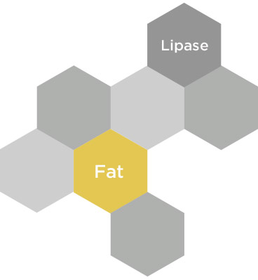 sitting making you fat