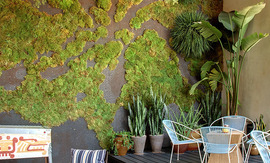 Malverde_patio_small