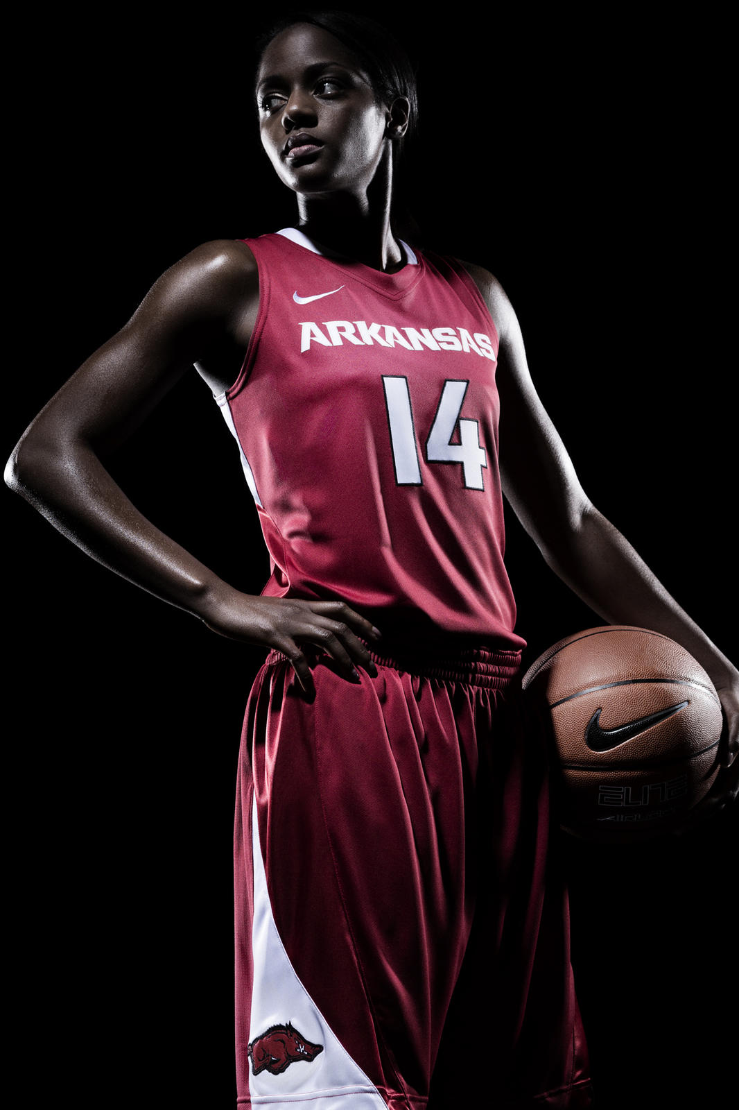 arkansas razorback nike free trainer v7