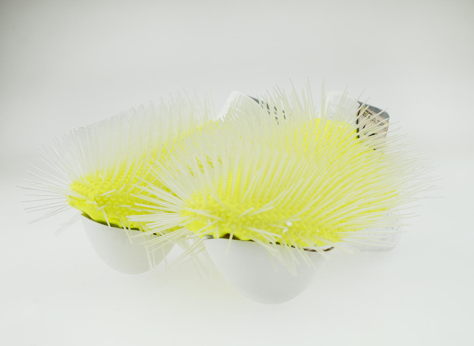 Experiments in Natural Motion Nike News