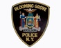 Blooming Grove Police Department