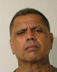 Puna Fatal Shooting (Update)