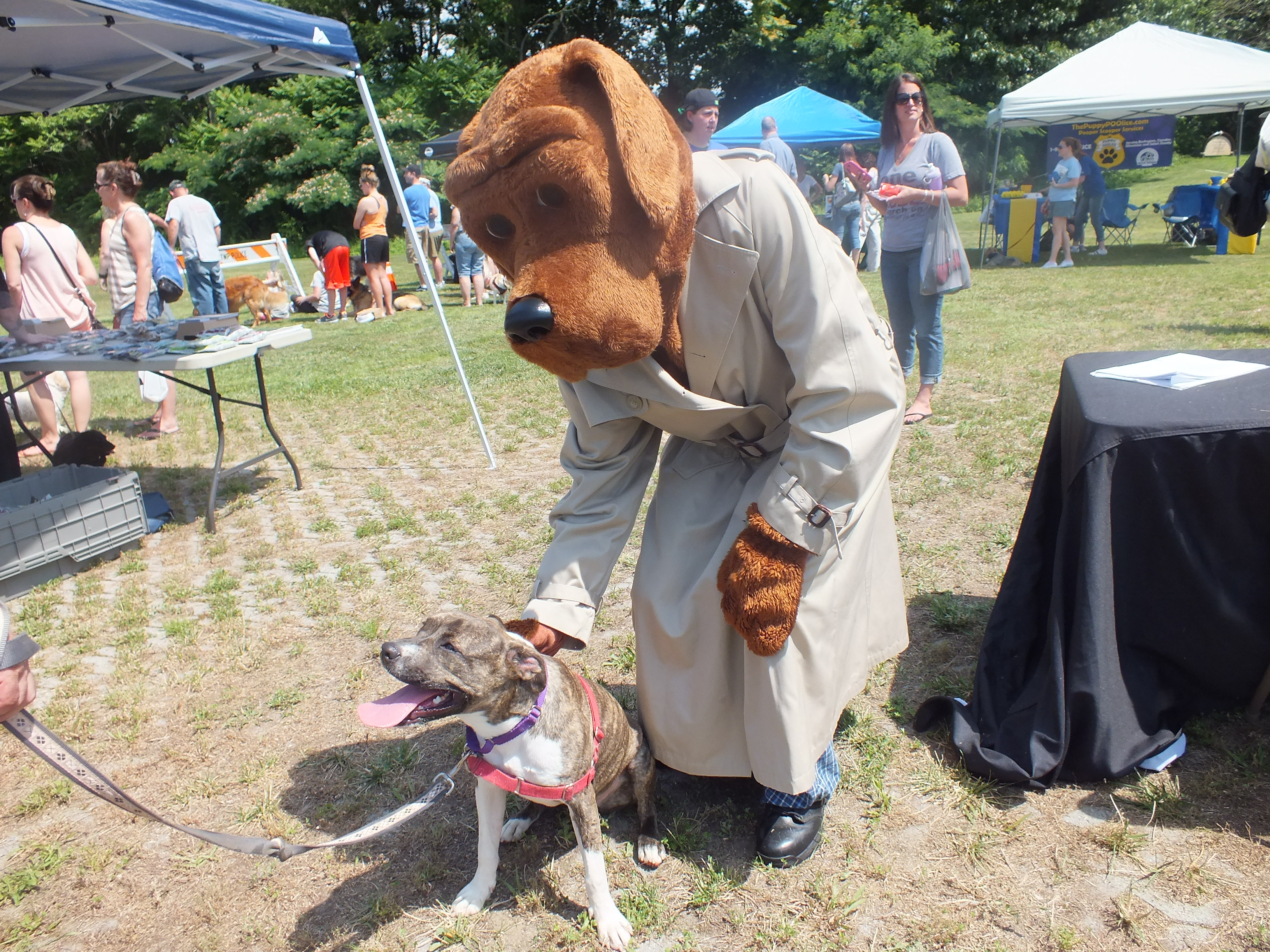 CNB Crime Gloucester Township Police Dog Walker Watch Seminar May 21st