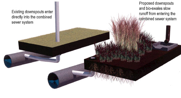 user19729-1407856689-media2