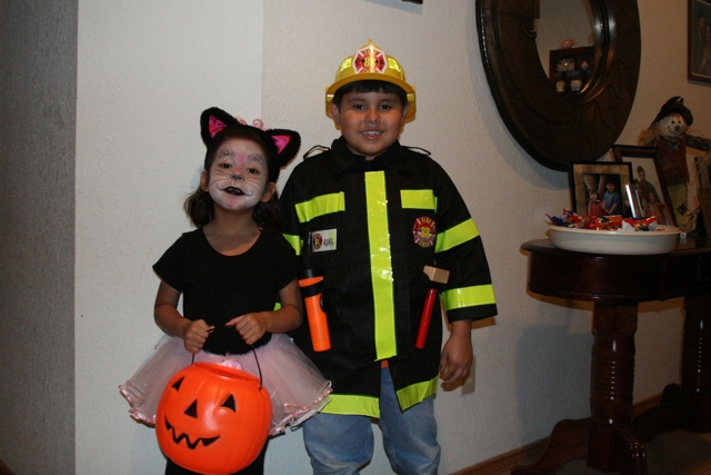 Cat_Firefighter.jpg