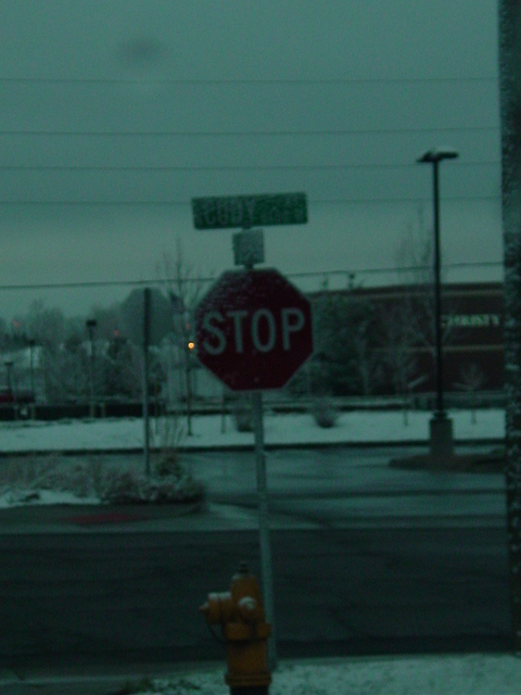 DSC00391.JPG