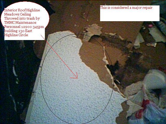 HPIM0808-Major_Repair-Ceilng_Dumped_into_trash_2.JPG