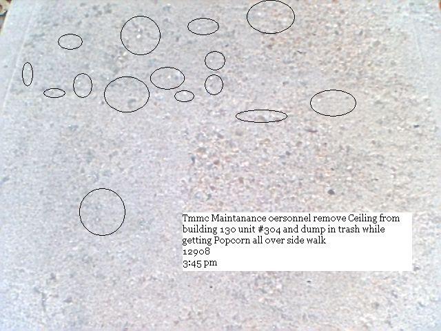 HPIM0809-Sidewalk_riddled_with_popcorn_from_ceiling_of_unit_304-2.JPG