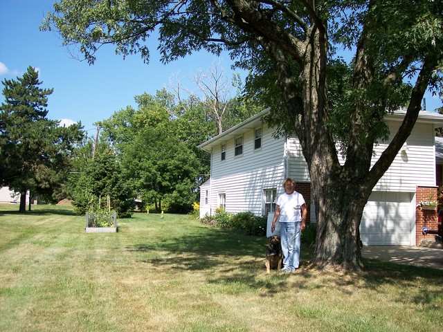 Beautification_Award_2008_006.jpg