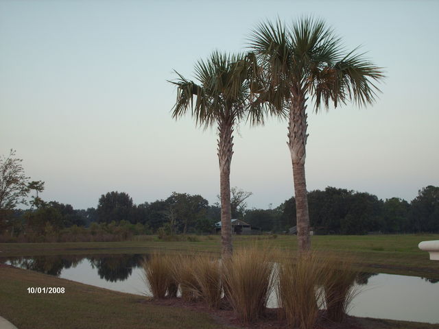 HPIM2439.JPG