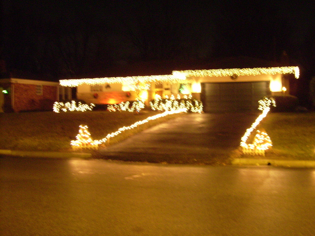 1103_GARDEN.JPG