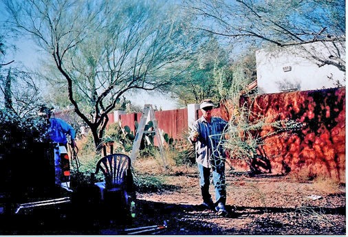 TreePruning1.jpg