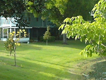 3-25-09_005.jpg