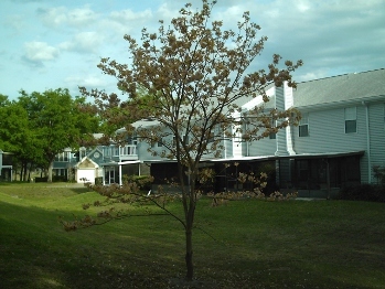3-25-09_006.jpg