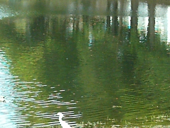 3-25-09_003.jpg