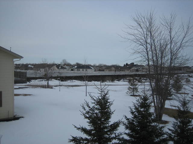 IMG_2084.JPG