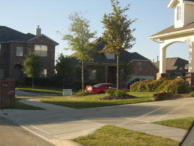 Picture_053.jpg