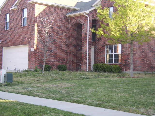 Picture_058.jpg