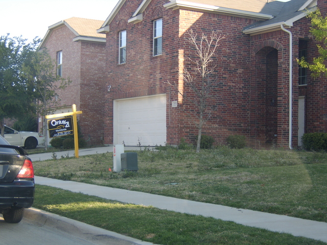 Picture_057.jpg