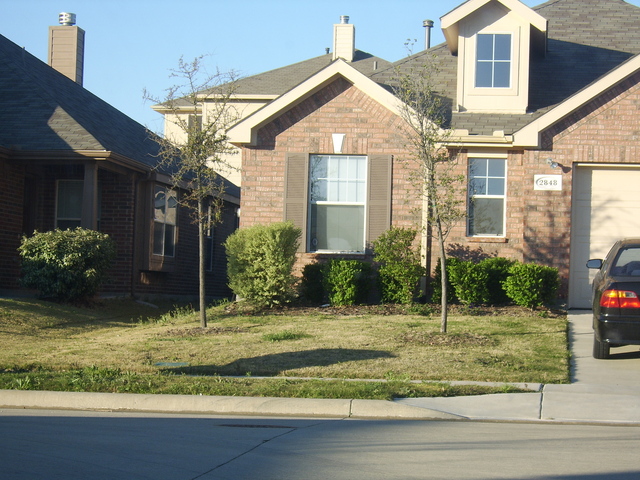 Picture_042.jpg