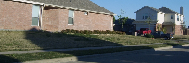 Picture_067.jpg