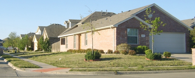 Picture_073.jpg