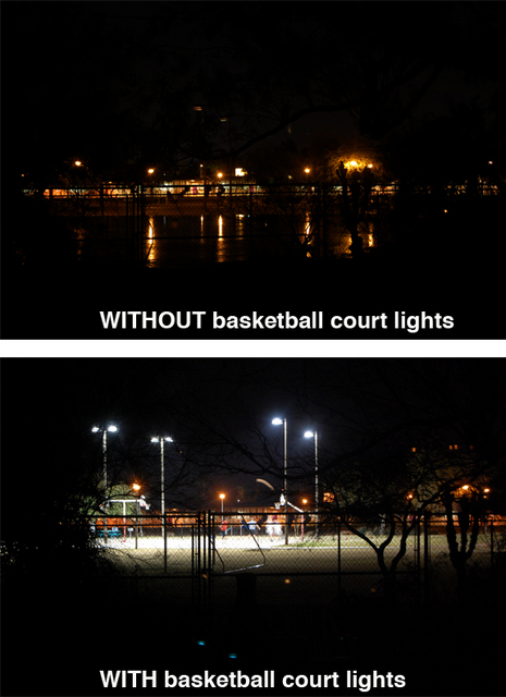 With_and_Without.jpg