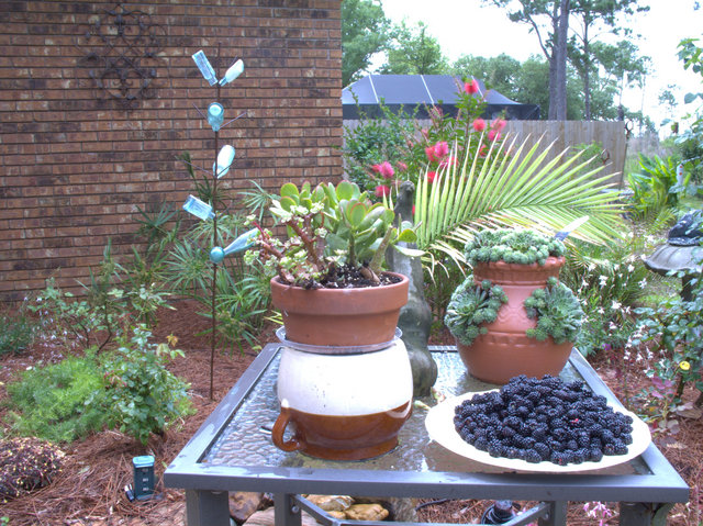 CRW_0009.jpg