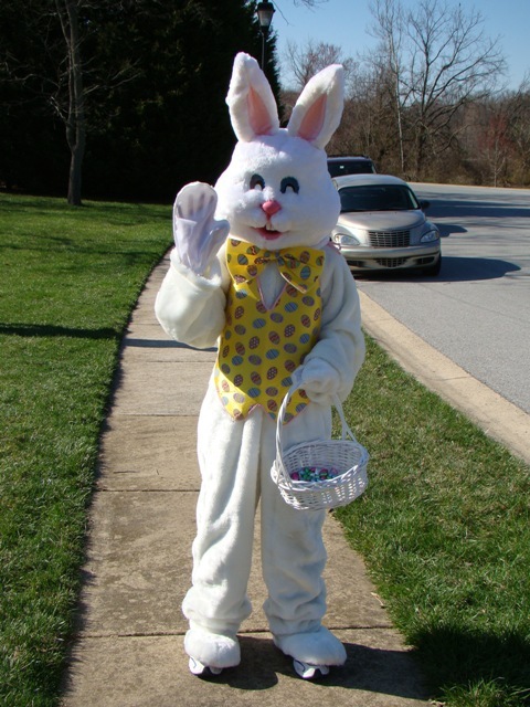 Bunny0.JPG
