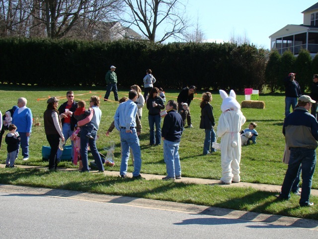 Bunny5.JPG