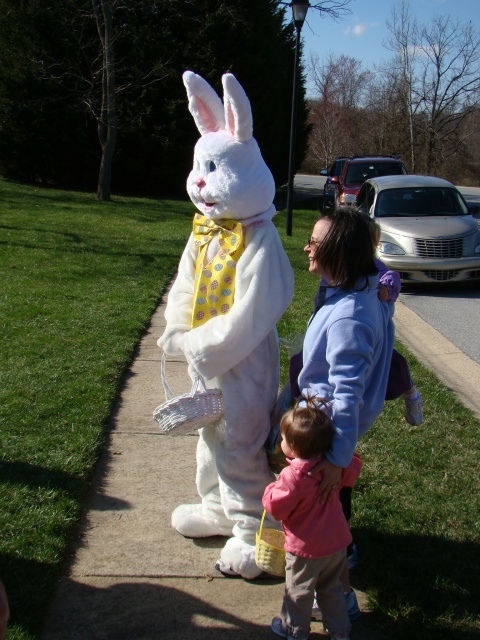 Bunny6.JPG
