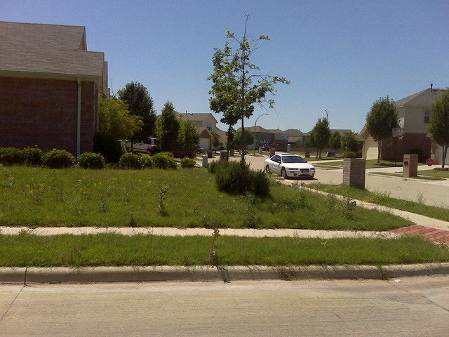 IMG00075.jpg