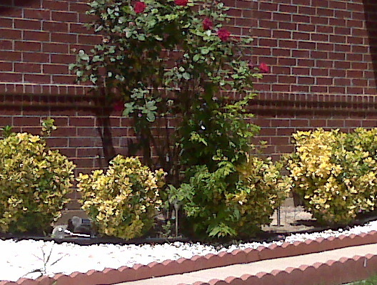 IMG00073.jpg
