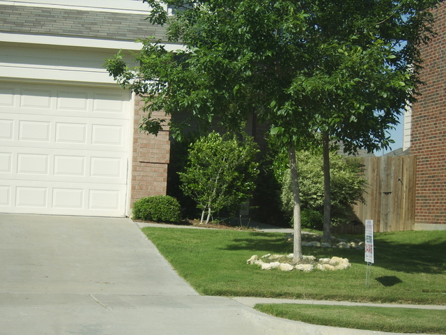 STA74664.JPG