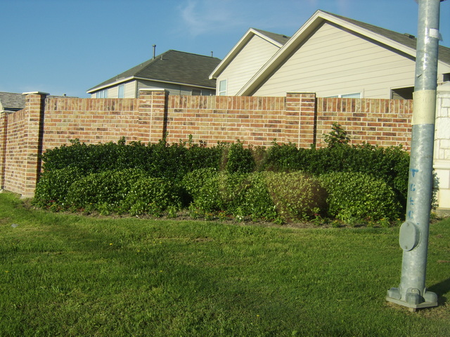STA74635.JPG