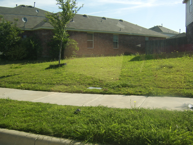 STA74642.JPG