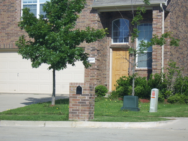 STA74647.JPG