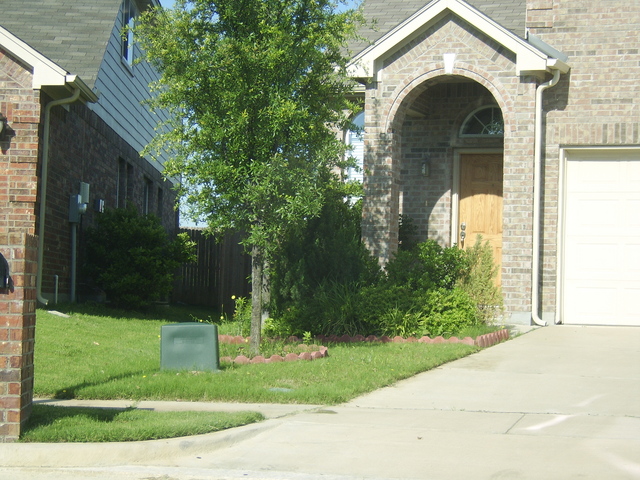 STA74649.JPG