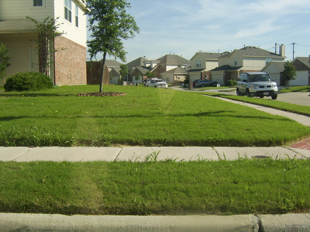 STA74655.JPG