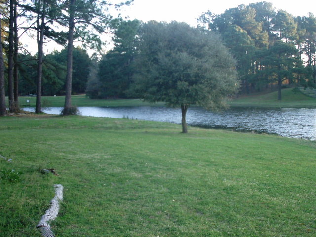 Picture_042.jpg
