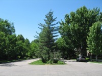 parkway.JPG