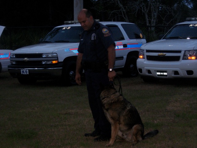 K-9_1.JPG