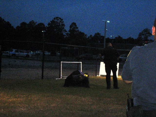 Chitwood_Attacked_2.JPG