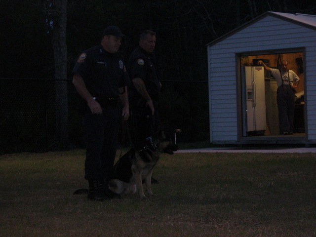 K-9_2.JPG