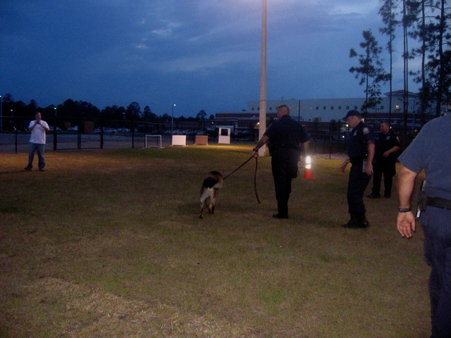 K-9_5.JPG